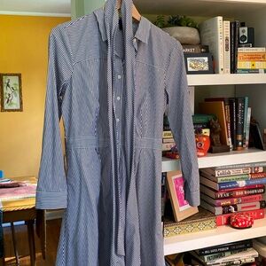 J Crew shirt dress